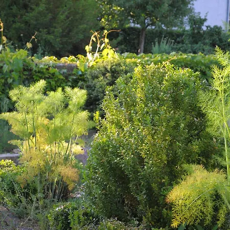 Мини-отель Herrig Meckel