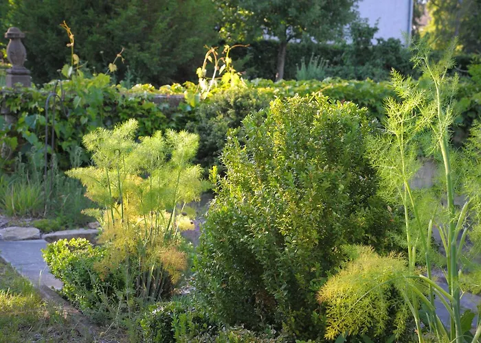 Estalagem Herrig Meckel